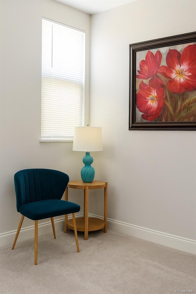 3365 Chisholm Trl Unit B102, Boulder, CO 80301 - sitting room featuring carpet floors and baseboards