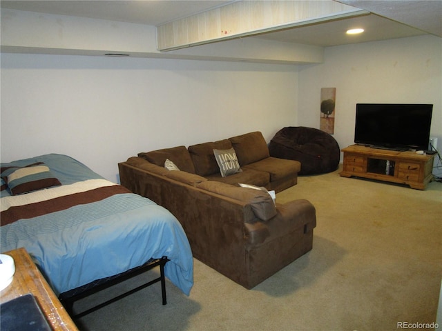 17502 Lamar Ct, Parker, CO 80134 - photo 20