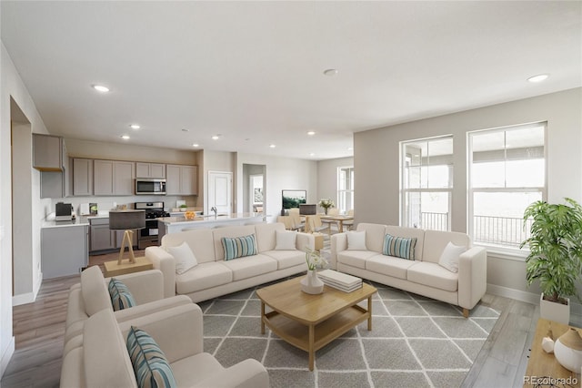 living room featuring plenty of natural light and light hardwood / wood-style floors