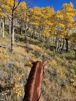 24870 US Highway 285, Fairplay, CO 80440 - view of undeveloped land