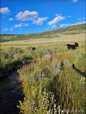 24870 US Highway 285, Fairplay, CO 80440 - view of local wilderness