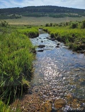 24870 US Highway 285, Fairplay, CO 80440 - water view