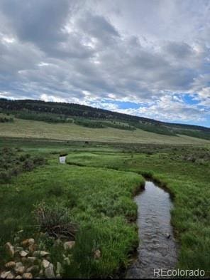 24870 US Highway 285, Fairplay, CO 80440 - view of yard