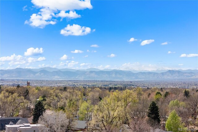 property view of mountains featuring a forest view