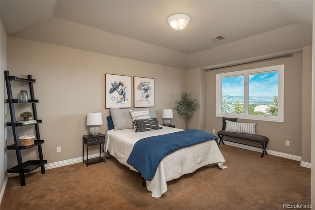 1111 Michener Way, Highlands Ranch, CO 80126 - photo 35