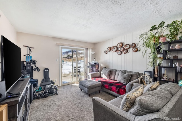 living room featuring carpet and a textured ceiling