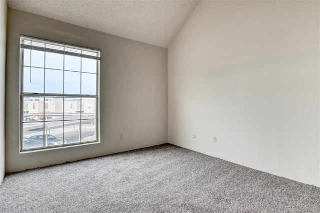 spare room featuring lofted ceiling, carpet, and a textured ceiling