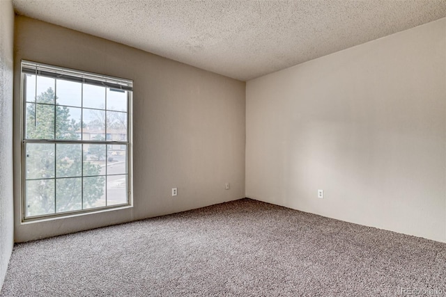 spare room with carpet and a textured ceiling