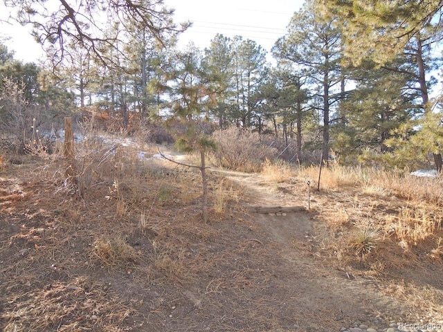 view of landscape