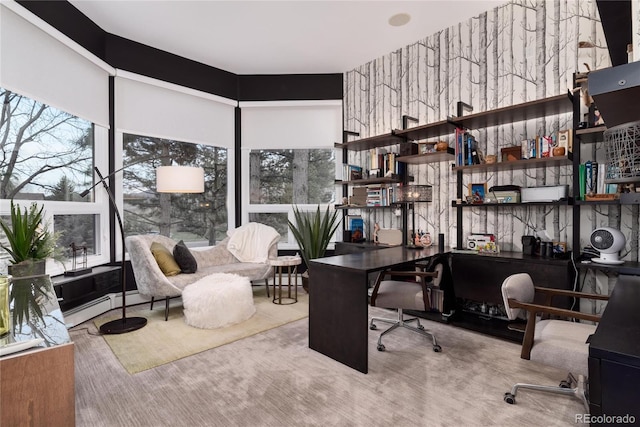 carpeted office space with baseboard heating and a wealth of natural light