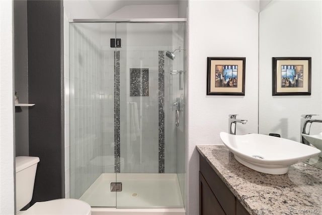 bathroom featuring toilet, a stall shower, and vanity