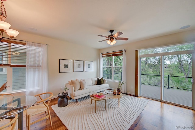 1839 Caleta Trl, Longmont, CO 80504 - living area featuring wood finished floors, a ceiling fan, and a chandelier