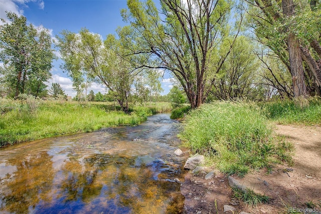 1839 Caleta Trl, Longmont, CO 80504 - view of yard