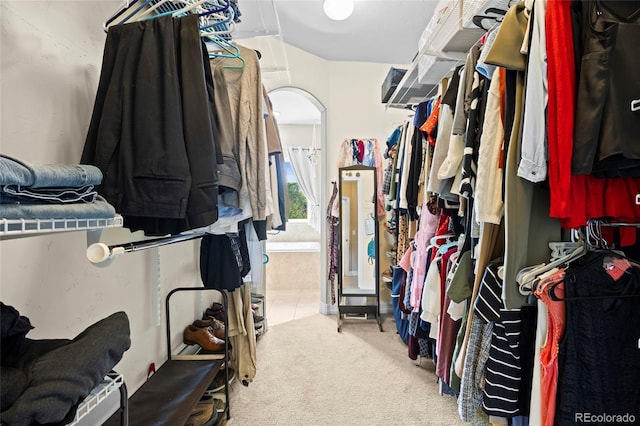 8101 Wynstone Dr, Windsor, CO 80550 - spacious closet with carpet flooring and arched walkways