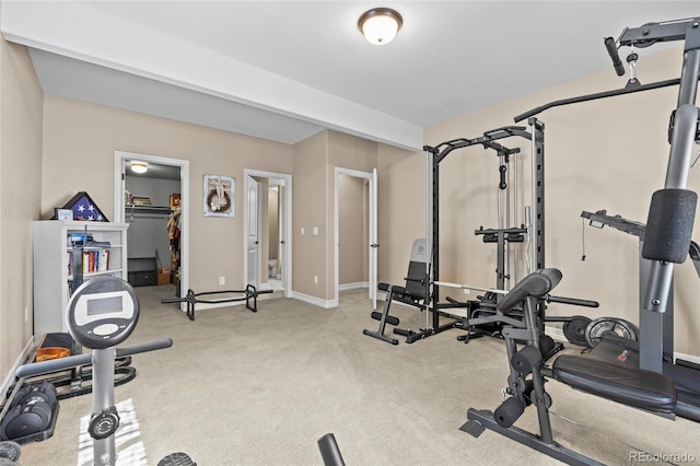 8101 Wynstone Dr, Windsor, CO 80550 - exercise area with carpet flooring and baseboards