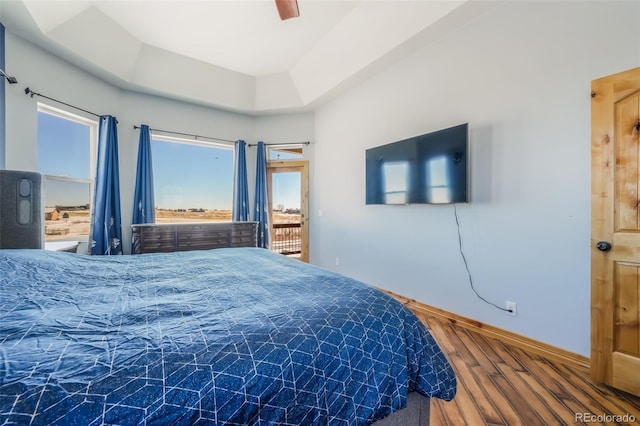 bedroom featuring ceiling fan and a raised ceiling