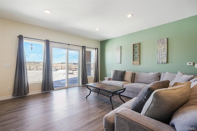 living room with hardwood / wood-style flooring