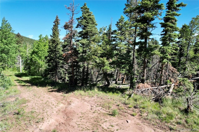 2938 Kemper Loop, Fort Garland CO, 81133 land for sale