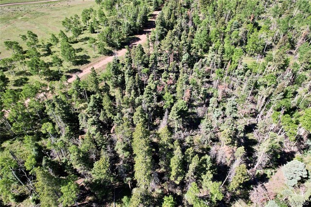 2938 Kemper Loop, Fort Garland, CO 81133 - photo 3