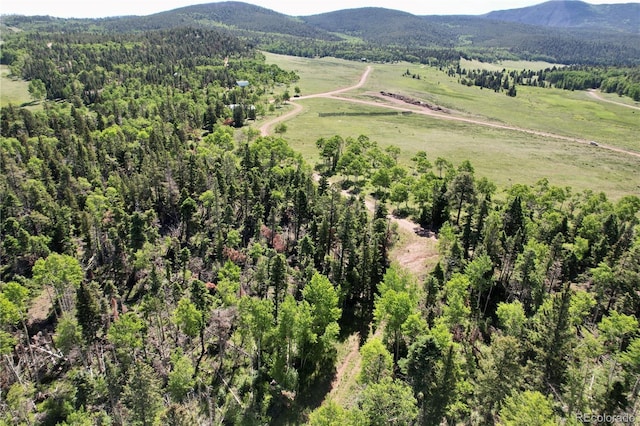 2938 Kemper Loop, Fort Garland, CO 81133 - photo 5