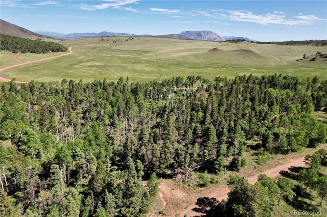 2938 Kemper Loop, Fort Garland, CO 81133 - photo 7