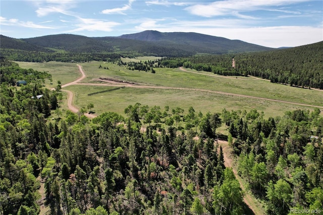 2938 Kemper Loop, Fort Garland, CO 81133 - photo 10
