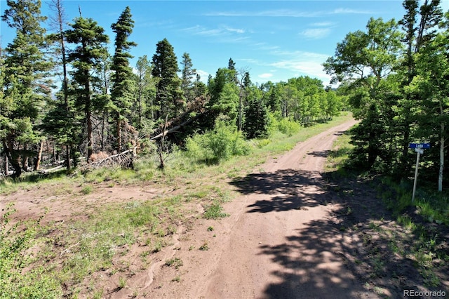 2938 Kemper Loop, Fort Garland, CO 81133 - photo 12