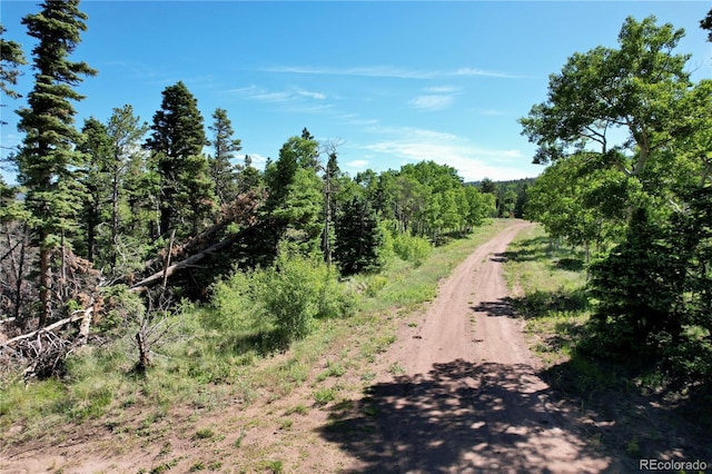 2938 Kemper Loop, Fort Garland, CO 81133 - photo 13
