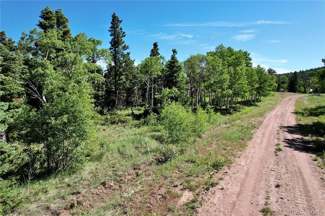 2938 Kemper Loop, Fort Garland, CO 81133 - photo 14
