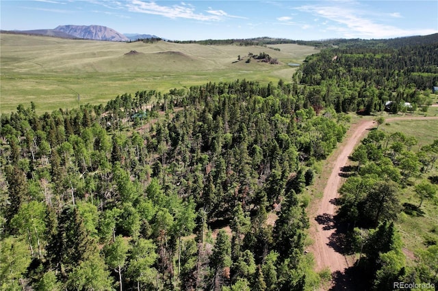 2938 Kemper Loop, Fort Garland, CO 81133 - photo 21