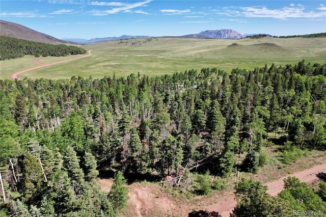 2938 Kemper Loop, Fort Garland, CO 81133 - photo 22