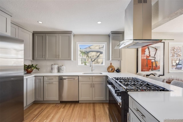 kitchen featuring sink, gray cabinetry, island exhaust hood, stainless steel appliances, and light hardwood / wood-style flooring