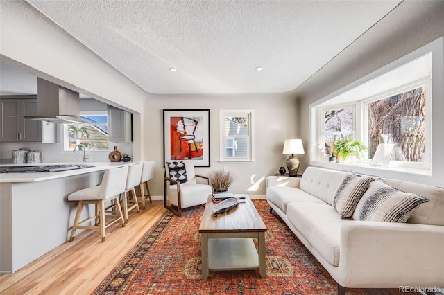 living room with plenty of natural light, a textured ceiling, and light wood-type flooring