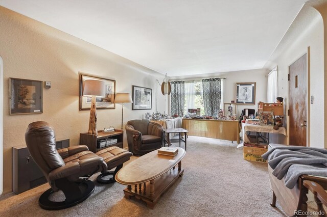 675 Holland St, Lakewood, CO 80215 - living area featuring carpet floors