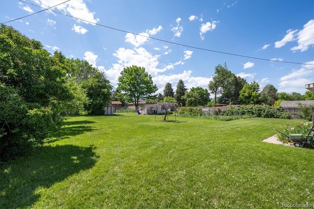 675 Holland St, Lakewood, CO 80215 - view of yard