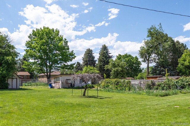 675 Holland St, Lakewood, CO 80215 - view of yard