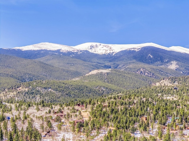 view of mountain feature with a forest view