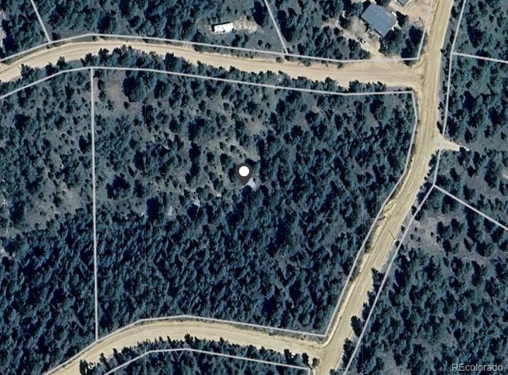 7935 County Road 51, Divide, CO 80814 - photo 1