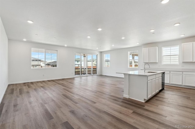 kitchen featuring plenty of natural light, light wood-style floors, a sink, and recessed lighting