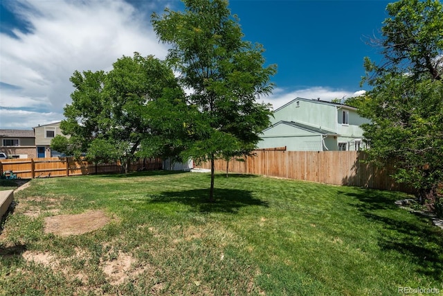 12296 Birch St, Thornton, CO 80241 - view of fenced backyard
