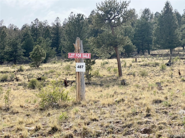 000 Middle Fork Vis, Fairplay, CO 80440