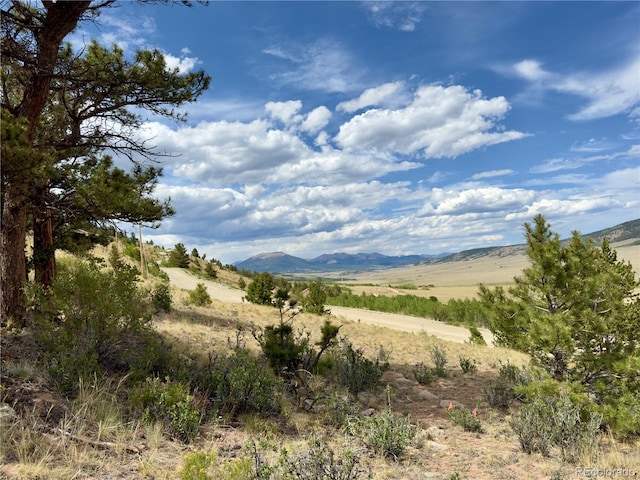 000 Middle Fork Vis, Fairplay, CO 80440