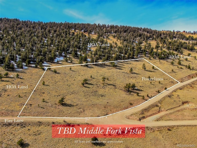 000 Middle Fork Vis, Fairplay, CO 80440
