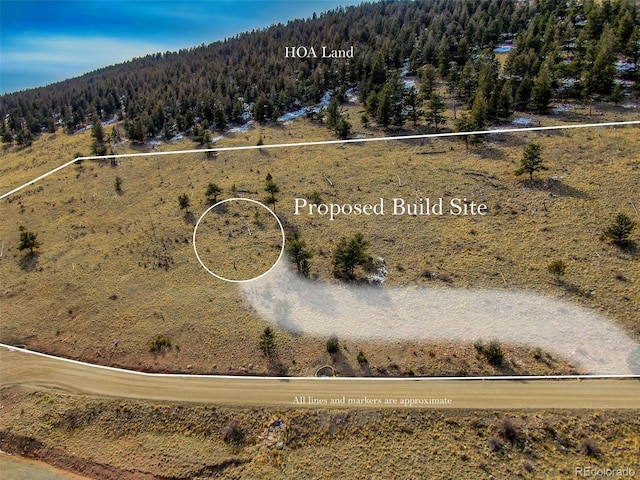 000 Middle Fork Vis, Fairplay, CO 80440