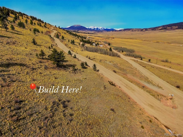 000 Middle Fork Vis, Fairplay, CO 80440