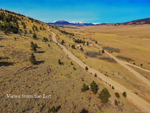 000 Middle Fork Vis, Fairplay, CO 80440