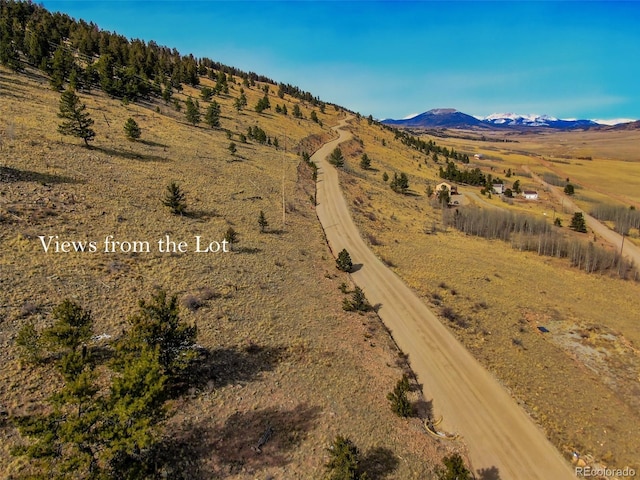 000 Middle Fork Vis, Fairplay, CO 80440