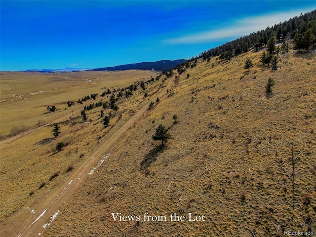 000 Middle Fork Vis, Fairplay, CO 80440