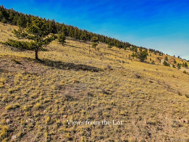 000 Middle Fork Vis, Fairplay, CO 80440