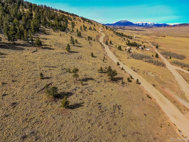 000 Middle Fork Vis, Fairplay, CO 80440
